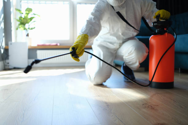 Trusted Sewage Cleanup service in Madison, IN - Four Month Blood Cleanse